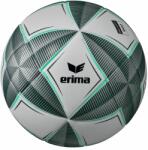 ERIMA labda (futball, Senzor Star Pro Kopernikus) 7192303-5