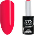 NTN Premium UV/LED 91#
