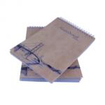 EVOffice Blocnotes A5 cu microperforatii si spirala metalica, 80 file - dictando/matematica