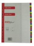 EVOffice Index carton numeric 1-31, margine color
