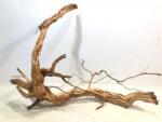 INVITAL Dragon wood 60-90cm (ID 3529)