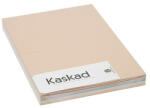 Kaskad Dekorációs karton KASKAD A/4 160 gr pasztell vegyes színek 5x25 ív/csomag (621100 (K16)) - team8
