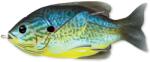 Live Target Vobler Live Target Hollow Body Sunfish Walking Bait 9cm 18g Floating Blue Yellow Pump (F1.LT.SFH90T555)