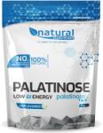 Natural Nutrition Palatinose GI32 Natural 2, 5kg