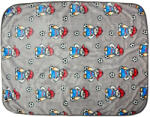 ASTI Mintás wellsoft babatakaró 70x90cm