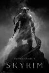 GB eye Poster maxi GB Eye Games: Skyrim - Dragonborn (FP4139)