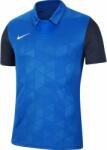 Nike Bluza Nike M NK TROPHY IV JSY SS bv6725-463 Marime S (bv6725-463)