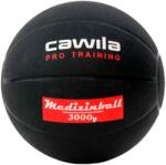 Cawila Minge medicinală Cawila Medicine Ball PRO Training 3.0 kg 1000614319-schwarz Marime OS (1000614319-schwarz) - 11teamsports