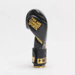 Leone Manusi de Box Leone DNA Negre (GN220-negru-12Oz)