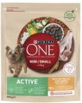 PURINA One Adult Chicken & Rice 800 g