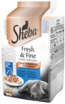 Sheba Fresh & Fine 72 x 50g cu somon, ton și cod