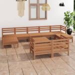 vidaXL Set mobilier de grădină, 10 piese, maro miere, lemn masiv de pin (3083382)