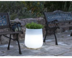 NEWGARDEN NG Camelia 80 LED LUMCA080OFNW