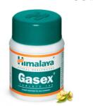 Himalaya Gasex 100 tablets