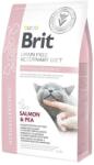 Brit Grain Free Veterinary Diet Hypoallergenic salmon & pea 2 kg