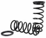 Arnott Set suspensie, arcuri elicoidale Arnott C-2410 (C-2410) - automobilus