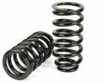 Arnott Set suspensie, arcuri elicoidale Arnott C-3080 (C-3080) - automobilus