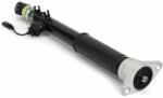 Arnott amortizor Arnott SK-3561 (SK-3561) - automobilus