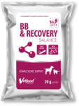 VetFood BB & Recovery Balance 20 g