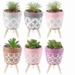 Decorer Set 6 flori artificiale in ghiveci 7.5x13.5 cm (A61.00.20)