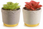 Decorer Set 2 plante artificiale in ghiveci ceramica 9x10.5 cm (A54.45.45) - decorer