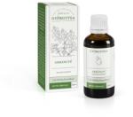 Györgytea Orbáncfű olajos kivonat 50 ml