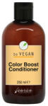 Carin Haircosmetics So Vegan Color Boost balzsam 250ml