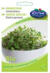 Rédei Kertimag Bio Brokkoli Csíráztatásra 15 g