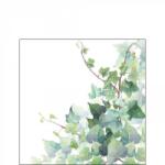 Ambiente Hedera White papírszalvéta 25x25cm, 20db-os