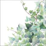 Ambiente Hedera White papírszalvéta 33x33cm, 20db-os