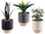 Decorer Set 3 plante artificiale in ghiveci 12.5x33 cm (A71.45.98)