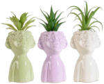 Decorer Set 3 plante artificiale in ghiveci 10x10x25 cm (A71.46.00)