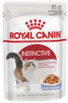 Royal Canin FHN Instinctive in jelly 12x85 g
