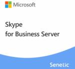 Microsoft Skype for Business Server Plus 2019 User CAL (DG7GMGF0F4LN-0002) - senetic