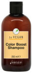 Carin Haircosmetics So Vegan Color Boost sampon 250ml - fodrasznagyker