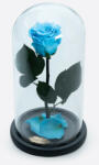 Aranjamente florale - Cupola cu trandafir criogenat pe pat de petale, bleu
