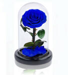 Aranjamente florale - Cupola cu trandafir criogenat XXL pe pat de petale, albastru