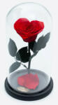 Aranjamente florale - Cupola cu trandafir criogenat in forma de inima pe pat de petale, rosu