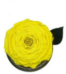 Aranjamente florale - Trandafir criogenat XXL in cupola de sticla cu blat negru galben