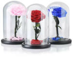 Aranjamente florale - Trandafir Criogenat XXL in cupola de sticla cu blat negru, pe pat de petale Pink