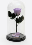 Aranjamente florale - Cupola cu trandafir criogenat pe pat de petale, lila
