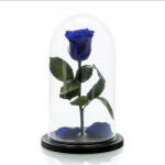 Aranjamente florale - Cupola cu trandafir criogenat pe pat de petale, albastru