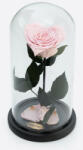 Aranjamente florale - Cupola cu trandafir criogenat in forma de inima pe pat de petale, roz