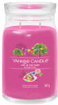 Yankee Candle Art In The Park lumânare mare Signature 567 g