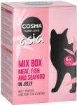 Cosma 24x100g Cosma Thai/Asia nedves macskatáp frissentartó tasakban 6 változattal