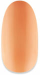  ZZ! NiiZA Gel Polish 4ml - 216