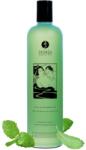Shunga Bath & Shower Gel Sensual Mint 370ml