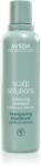 Aveda Scalp Solutions Balancing Shampoo успокояващ шампоан за възобновяване на скалпа 200ml