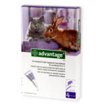 Bayer Advantage 80 Pisica Iepure, 4 pipete
