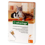 Bayer Advantage 40 Pisica Iepure, 4 pipete